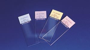 THERMOFISHER SCIENTIFIC COLORMARK™ PLUS MICROSCOPE SLIDES(gr)