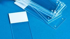 THERMOFISHER SCIENTIFIC POLYSINE™ ADHESION SLIDES(gr)