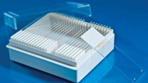 THERMOFISHER SCIENTIFIC SUPERFROST® PLUS GOLD ADHESION SLIDES(bx)