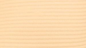 CROSSTEX POLYBACK™ 3 PLY TOWELS(cs)