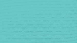 CROSSTEX PROBACK® EXTRA HEAVY TOWEL(cs)