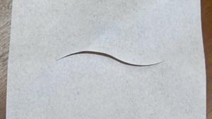 TIDI SMOOTH CHIROPRACTIC HEADREST BARRIER SHEETS(cs)