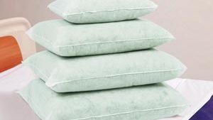 ENCOMPASS PERSONAL PILLOWS(cs)