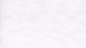 GRAPHIC CONTROLS CARDIOLOGY CHART PAPER(cs)