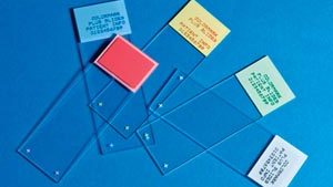 THERMOFISHER SCIENTIFIC COLORMARK™ PLUS MICROSCOPE SLIDES(gr)