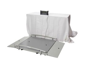 HEALTH O METER PROFESSIONAL DIGITAL WHEELCHAIR RAMP SCALES(ea)