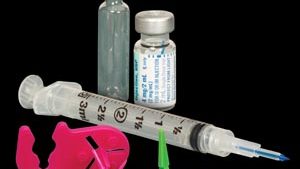 CINCINNATI CHECK CLIP(bx)