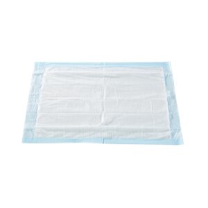 Underpads, Light Absrb 17x24 300/cs