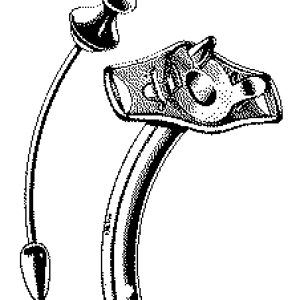I01863