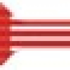 i19559