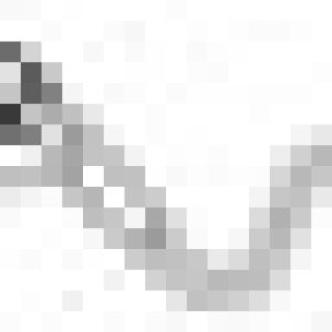 i19917