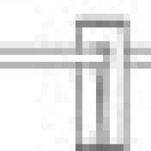 i20009
