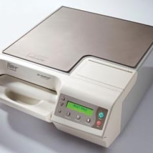 i21381