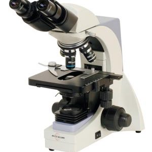 i21904