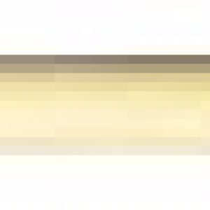 i55251