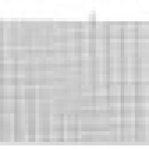 i81150