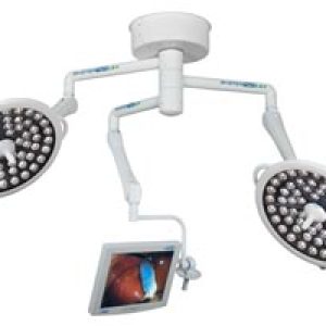 i81300